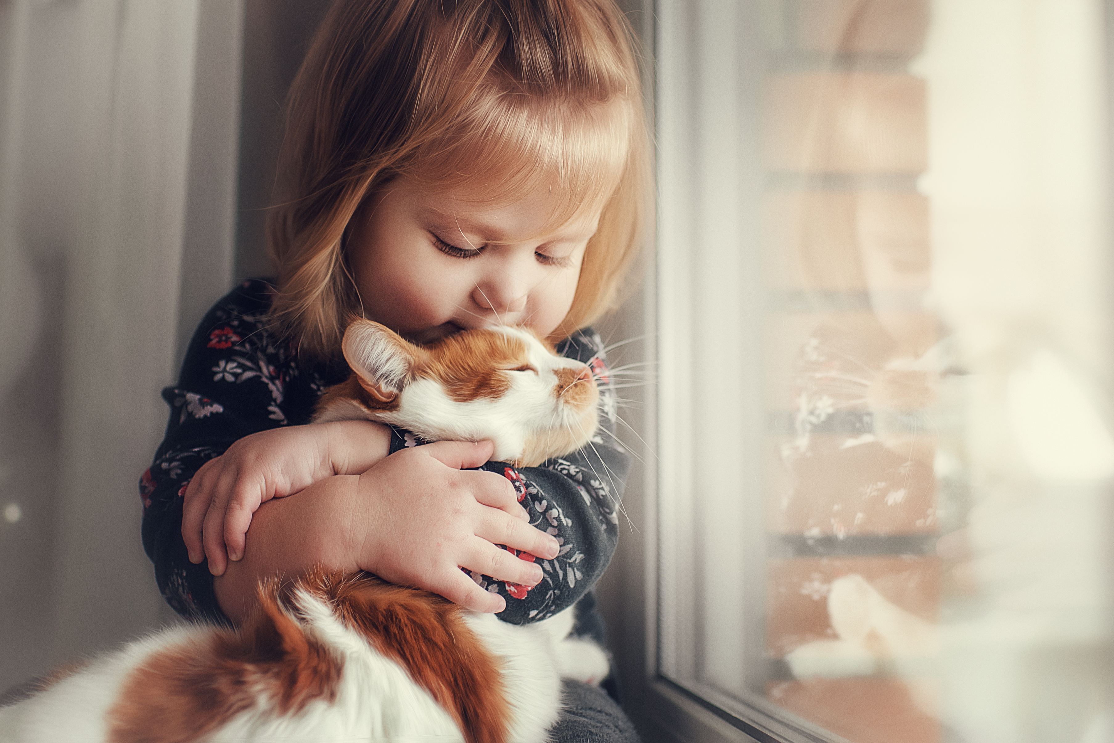 Comment Preparer Son Chat A L Arrivee D Un Bebe Boutique D Animaux Chico