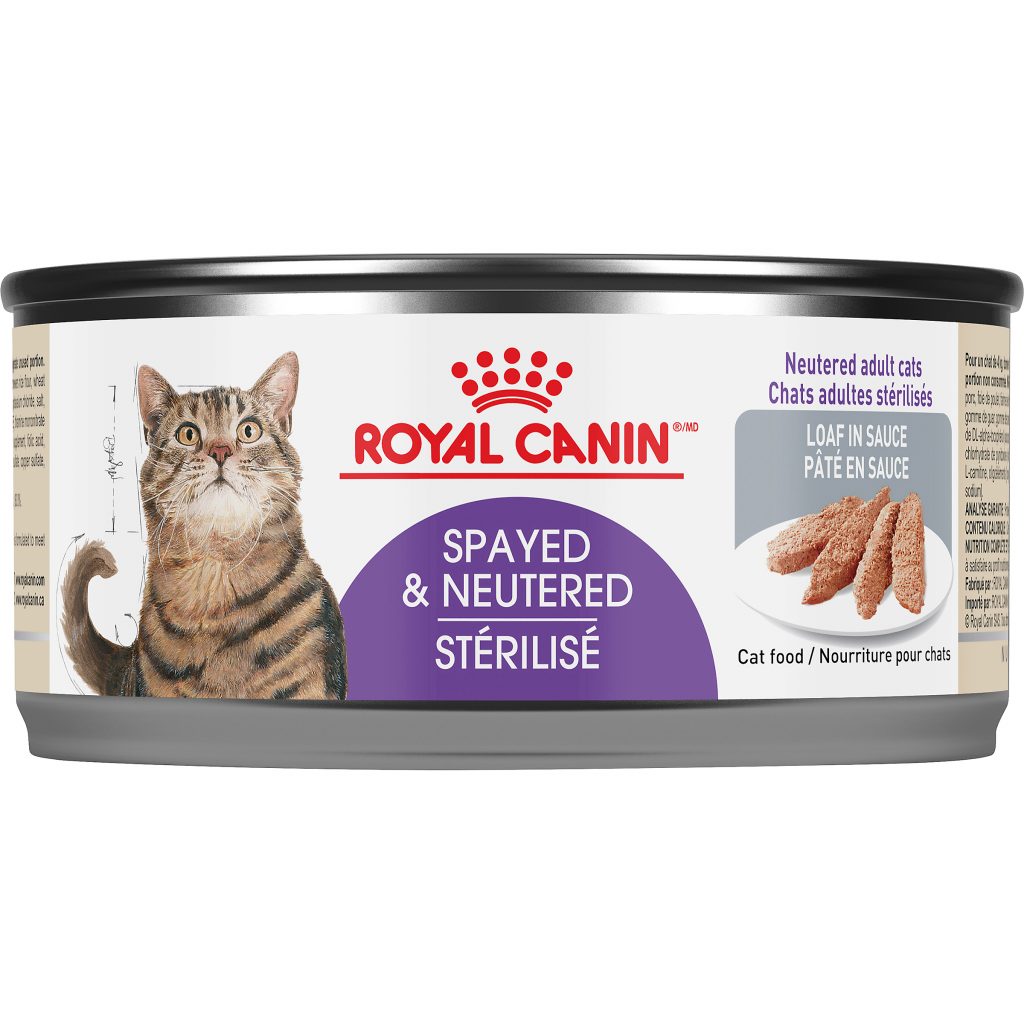 Royal Canin Nutrition Sante Feline Sterilise Pate En Sauce Nourriture Pour Chats Boutiques D Animaux Chico
