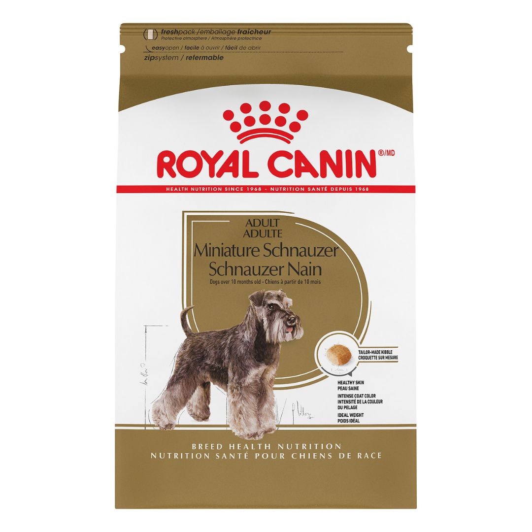 Royal canin miniature schnauzer shop adult dry dog food